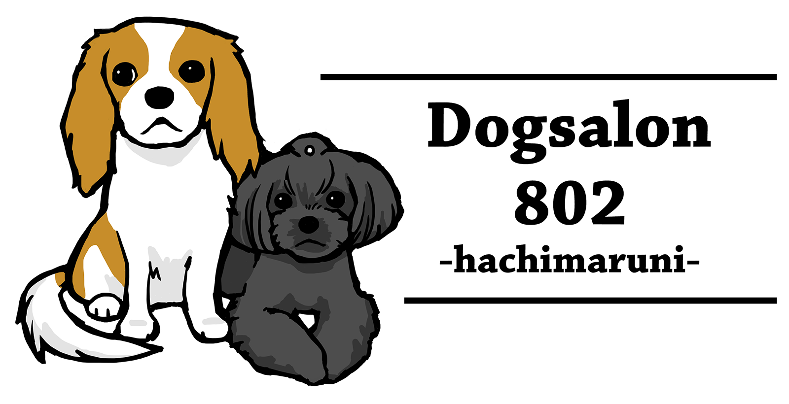 DogSalon802